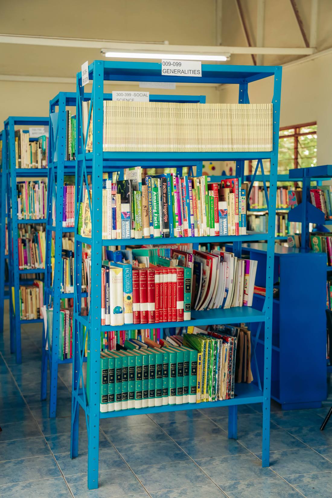 Inside the library