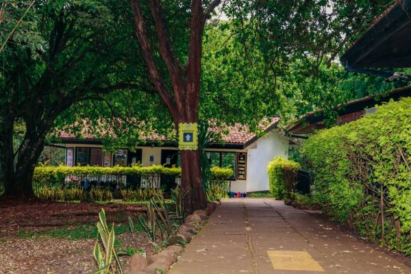 Our Green Home